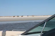 Fernandina Beach Boat Tour for Up to 6 Passengers 2 hr thumbnail 1