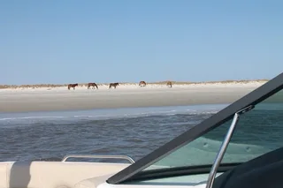 Fernandina Beach Boat Tour for Up to 6 Passengers 2 hr