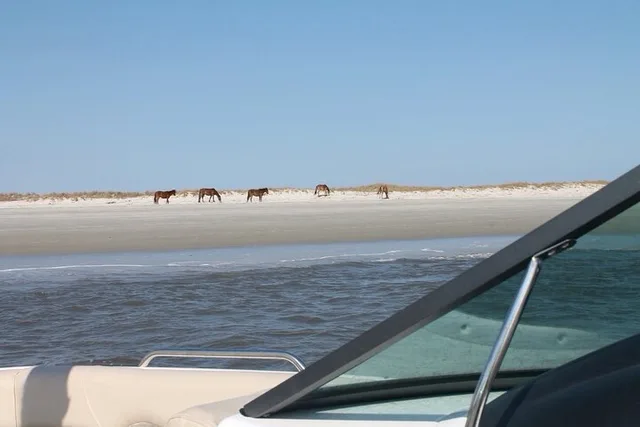 Fernandina Beach Boat Tour for Up to 6 Passengers 2 hr - Image 1