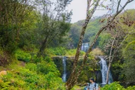 Kohala Waterfalls Adventure Tour thumbnail 6