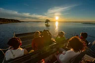 Orlando Airboat Tour at Sunset 1 hr thumbnail 2
