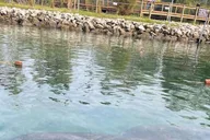 Crystal River Kayak Tour with Manatee Encounters 3 hr thumbnail 3