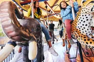 Salt Lake City Family Attractions Pass thumbnail 1
