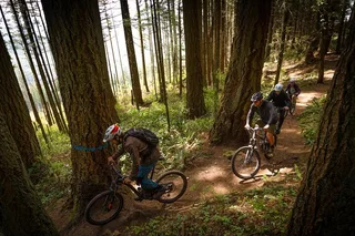 Bellingham Mountain Bike Tour Half-Day