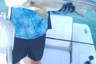 Sarasota Fishing Tour with Master Captain Bill thumbnail 1