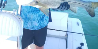 Sarasota Fishing Tour with Master Captain Bill