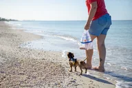 Naples Dog-Friendly Boat Tour to Keewaydin Island thumbnail 3
