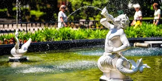 Savannah History and Culture Walking Tour