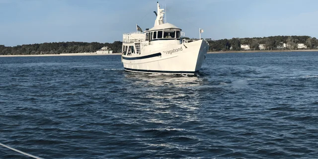 Hilton Head Island Ocean Dolphin Cruise - Image 3