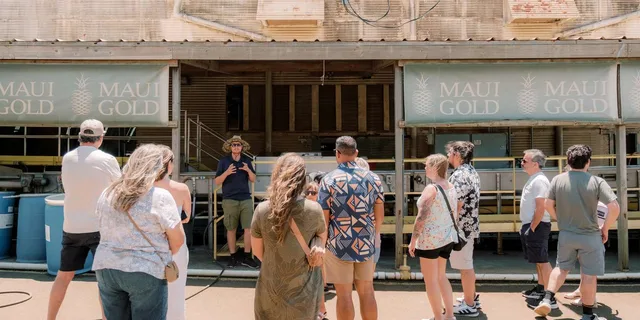 Maui Pineapple Farm Tour in Haliimaile - Image 6