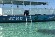 Destin Crab Island Catamaran Tour thumbnail 1