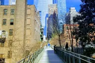 New York City High Line & Hudson Yards Walking Tour thumbnail 5