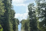Houston ATV Off-Roading Adventure thumbnail 3