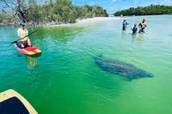 Naples Guided Paddleboard or Kayak Tour thumbnail 2