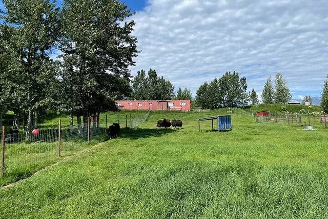 Anchorage Matanuska Valley and Farm Tour 8 hr - Image 4