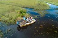 Miami Airboat Tour in the Everglades thumbnail 2