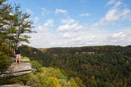 Tennessee Fall Colors Hiking Tour thumbnail 6