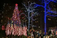 New York City Christmas Lights Tour thumbnail 2