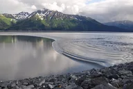 Anchorage Wildlife Adventure to Seward thumbnail 2