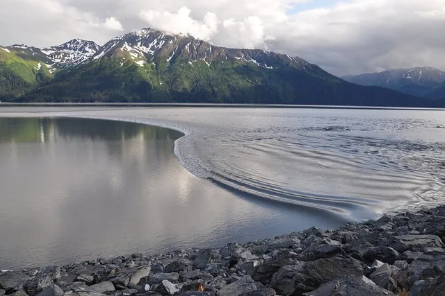 Anchorage Wildlife Adventure to Seward - Image 2