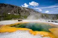 Sacramento to Yellowstone and Grand Teton 7-Day Tour thumbnail 5