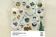 Glacier National Park Self-Guided Audio Tour thumbnail 4