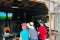 New Orleans Oak Alley Plantation Tour with Transportation thumbnail 4