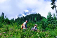 Seattle Mount Rainier Customized Tour thumbnail 4