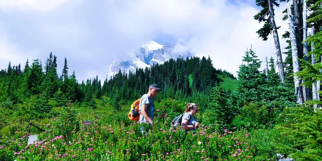 Seattle Mount Rainier Customized Tour - Image 4