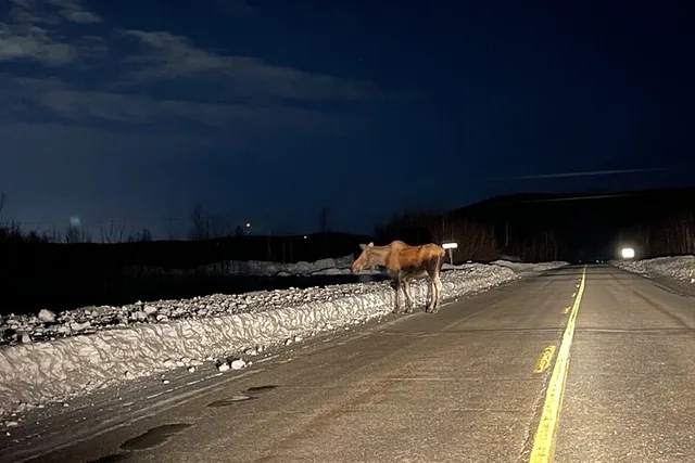 Fairbanks Aurora Adventure - Image 3