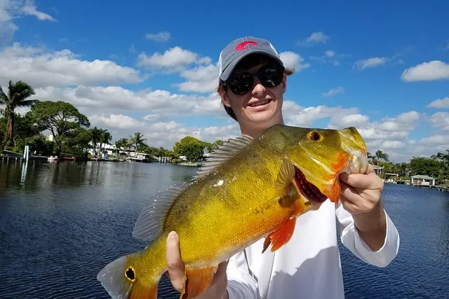 West Palm Beach Peacock Bass Fishing Trip - Image 3