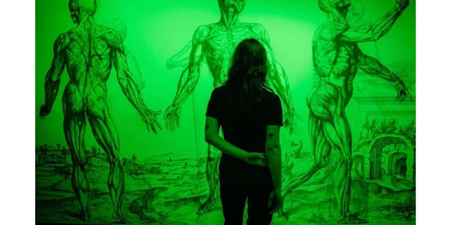 San Antonio Hopscotch Immersive Art Experience - Image 6