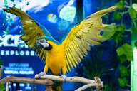 Austin Aquarium Entry Ticket thumbnail 2