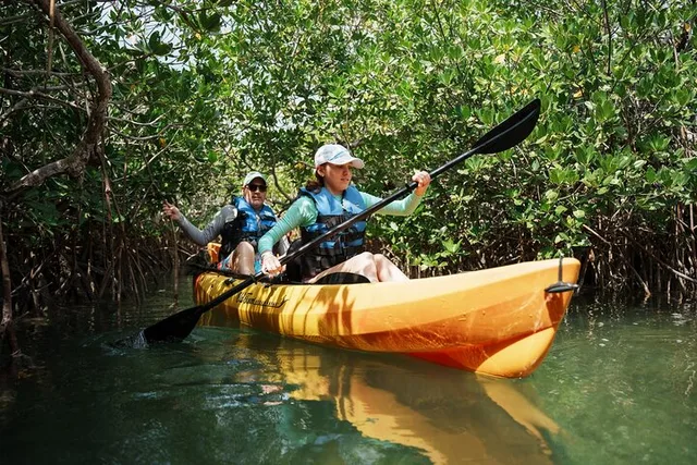Key West Sandbar Kayak Tour with Lunch and Drinks - Image 5