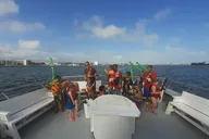 Orange Beach Dolphin Cruise thumbnail 1