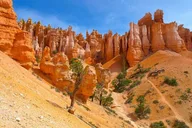 Las Vegas Antelope Canyon and Bryce Yellowstone Tour 8 Days thumbnail 5