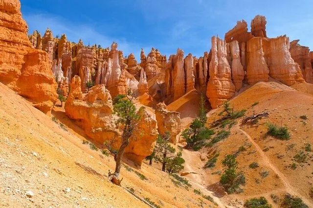Las Vegas Antelope Canyon and Bryce Yellowstone Tour 8 Days - Image 5