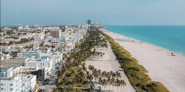 Miami Airplane Tour: South Beach & Downtown Skyline - Image 6