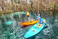 Silver Springs Florida Wildlife Kayak Tour thumbnail 3
