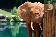 Montgomery Multi-Attraction Pass thumbnail 6