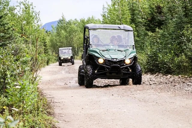 Denali ATV Trailblazer Tour 3.5 Hours - Image 3