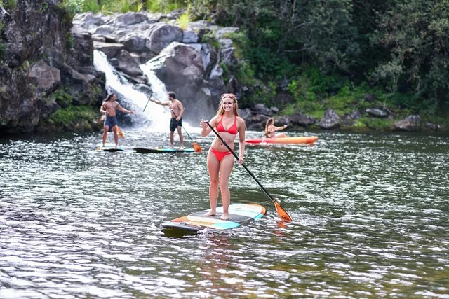 Hilo Waterfall and River Swim - Image 1
