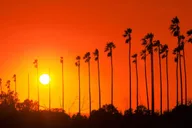 Los Angeles City & Beach Tour With Hotel Pick-Up 7 hr thumbnail 4