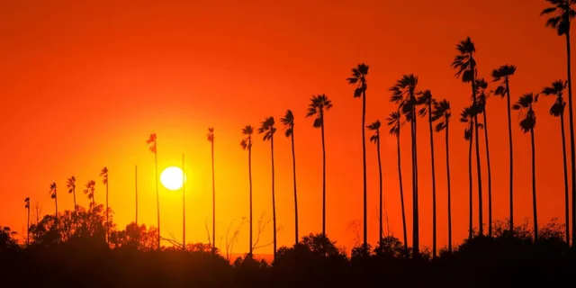 Los Angeles City & Beach Tour With Hotel Pick-Up 7 hr - Image 4