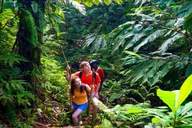 Maui Waterfall and Chocolate Tour thumbnail 3