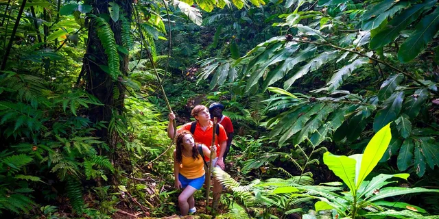 Maui Waterfall and Chocolate Tour - Image 3
