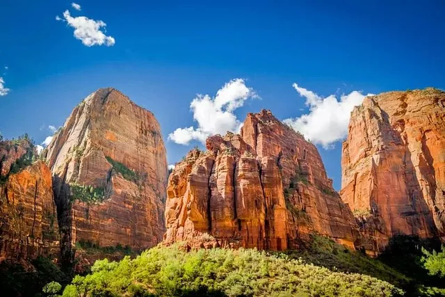 Zion National Park Private Full Day Tour - Image 3