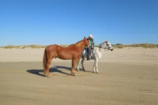 San Francisco Beach Horseback Ride & Alcatraz Tour
