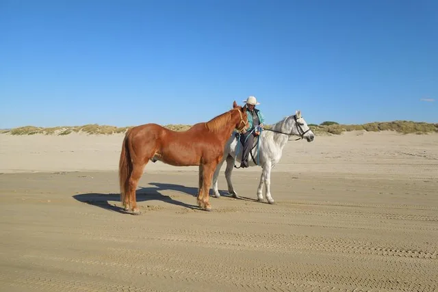 San Francisco Beach Horseback Ride & Alcatraz Tour - Image 1