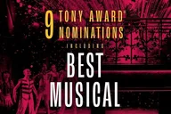 New York Broadway Show Experience with Lunch thumbnail 3